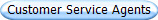 Customer Service Agents